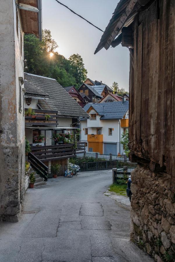 Holiday House Zupanc Bohinj Dış mekan fotoğraf