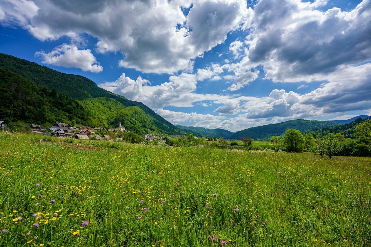 Holiday House Zupanc Bohinj Dış mekan fotoğraf